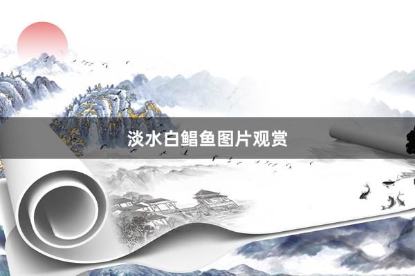 淡水白鲳鱼图片观赏